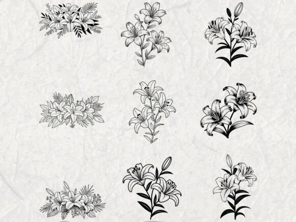Download Lily Flower SVG Bundle, Lily Flower DXF - Flower dxf Collection
